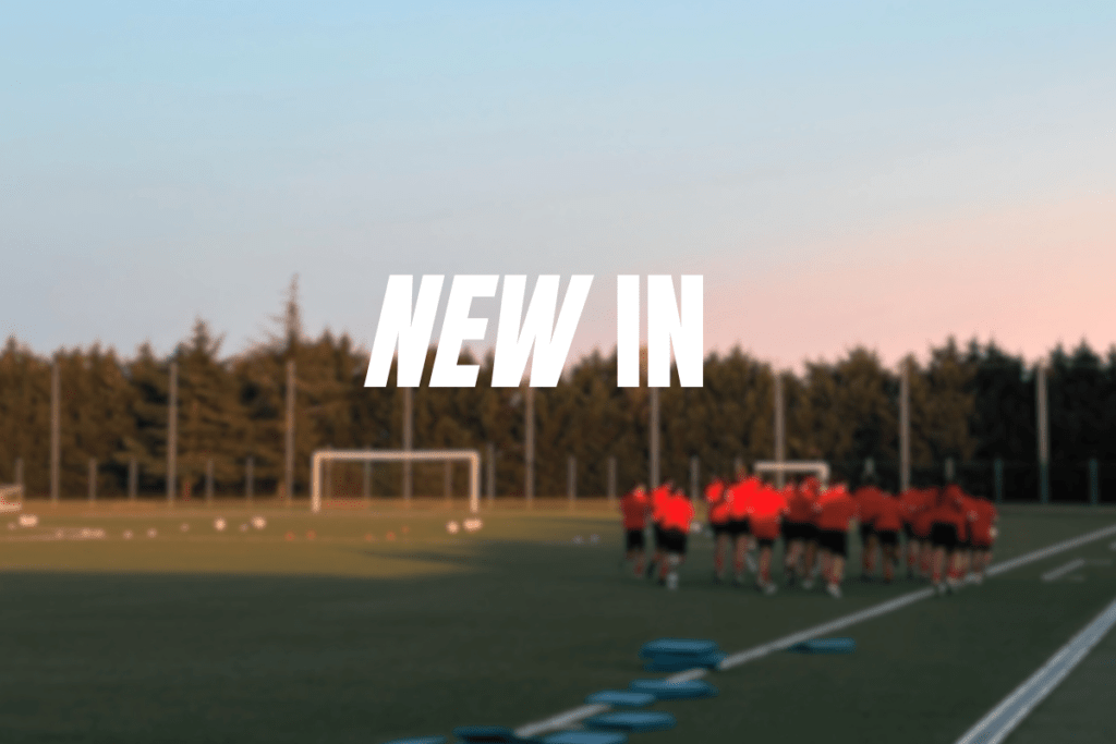 Nuovi innesti Gatteo Mare